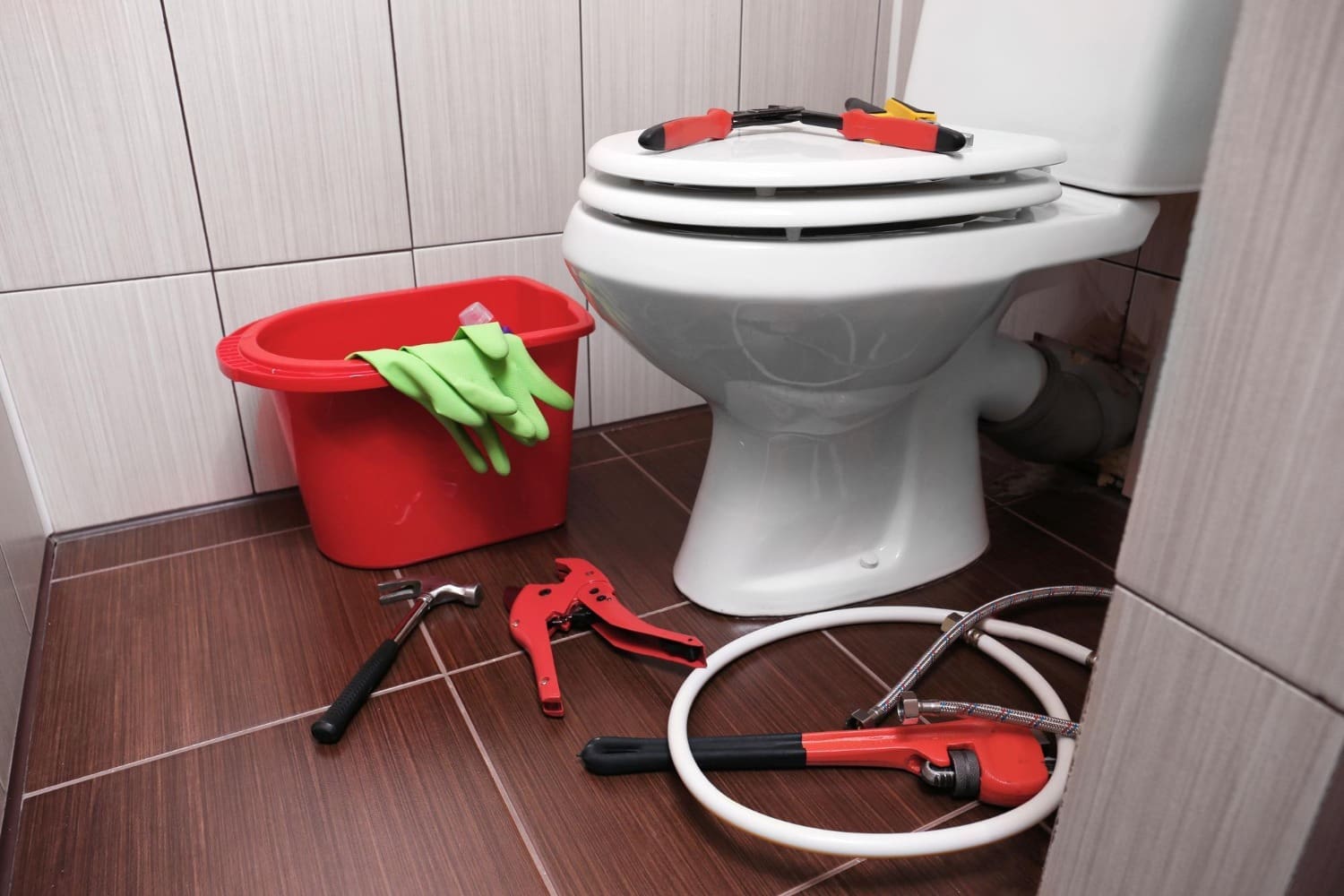 Toilet